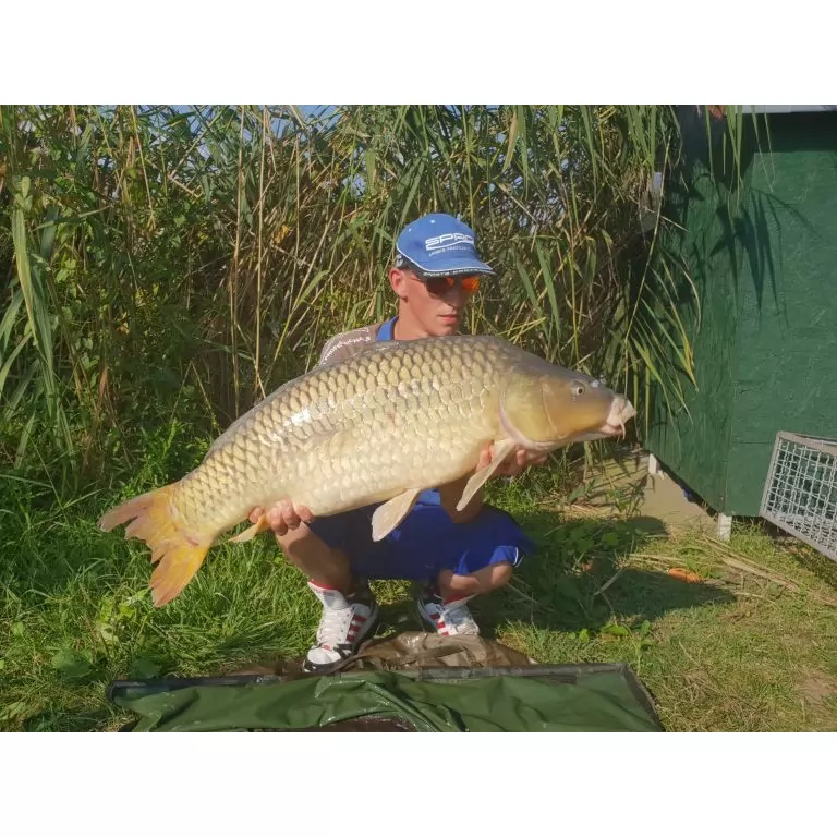 18,20 kg big carp