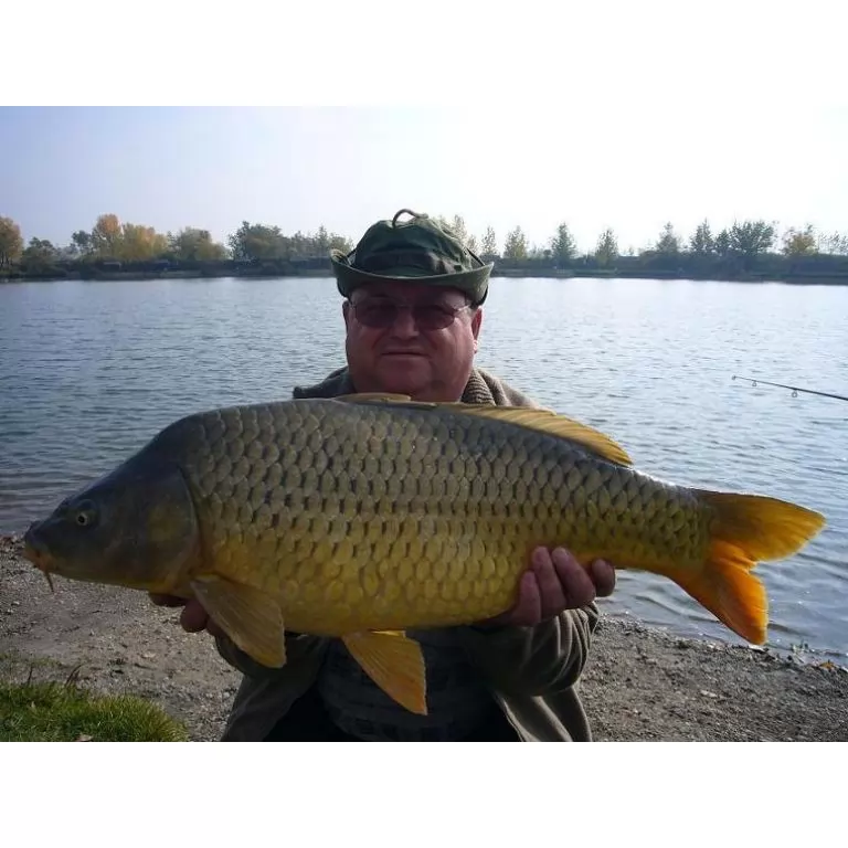 Misel Zadravec Carp Baits