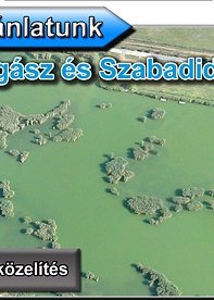 Nádaspart Horgász és Szabadidő tó