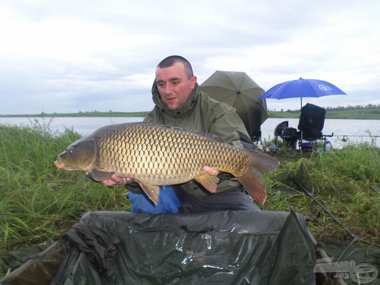 Újabb vendégünk, egy 6,4 kg-os tőponty