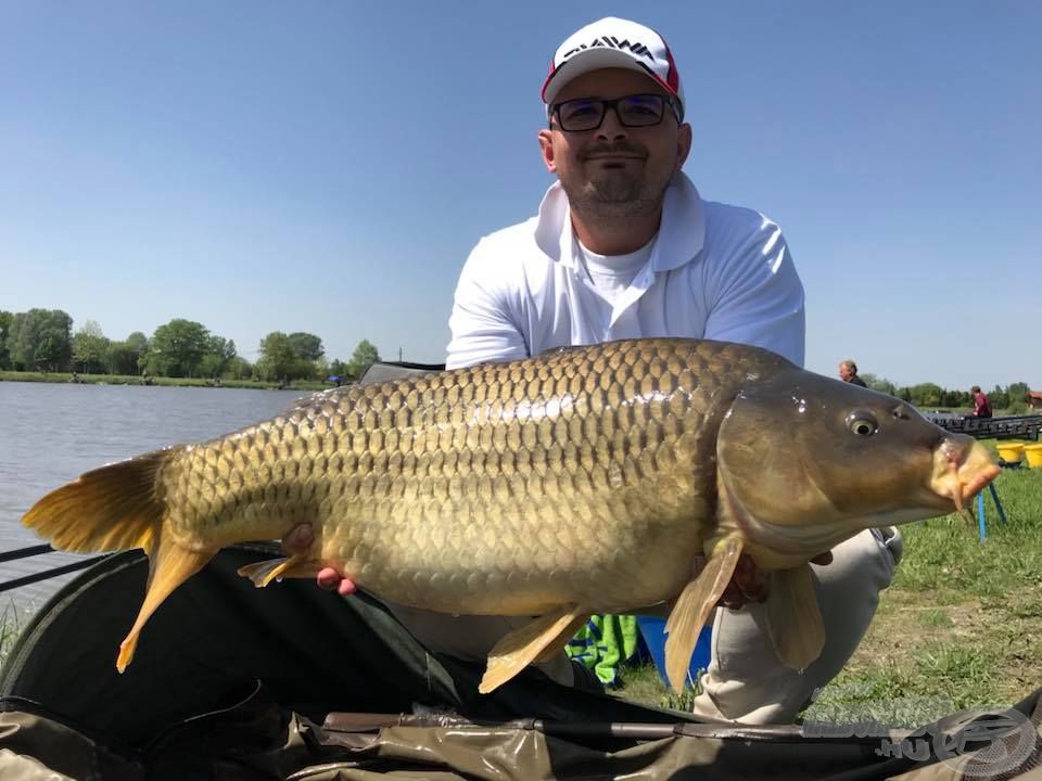 Termetes pontyok is lakják az Ezüst-tavat! A legnagyobb hal a tavaszi versenyen 11,66 kg volt, Berkics Balázs fogta!