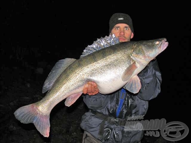 Ez a gyönyörű,11,3 kg-os dunai süllő…