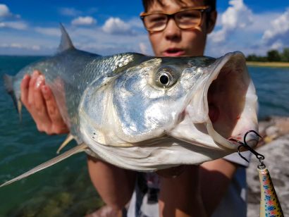A 2017. év legszebb fogásai 1. rész – nemes halak Szavazz az év fogására!