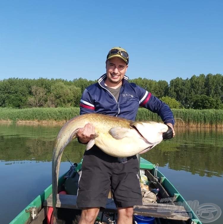 Termetes harcsa a Tisza-tóból