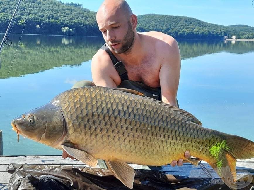 Nyúlánk testű pikkelyes ponty a Rakacából