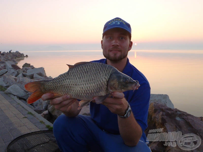 1,34 kg, 38 cm, de ponty a Balatonból!