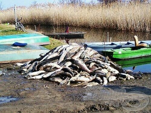 Ezért vajon ki vonható felelősségre?