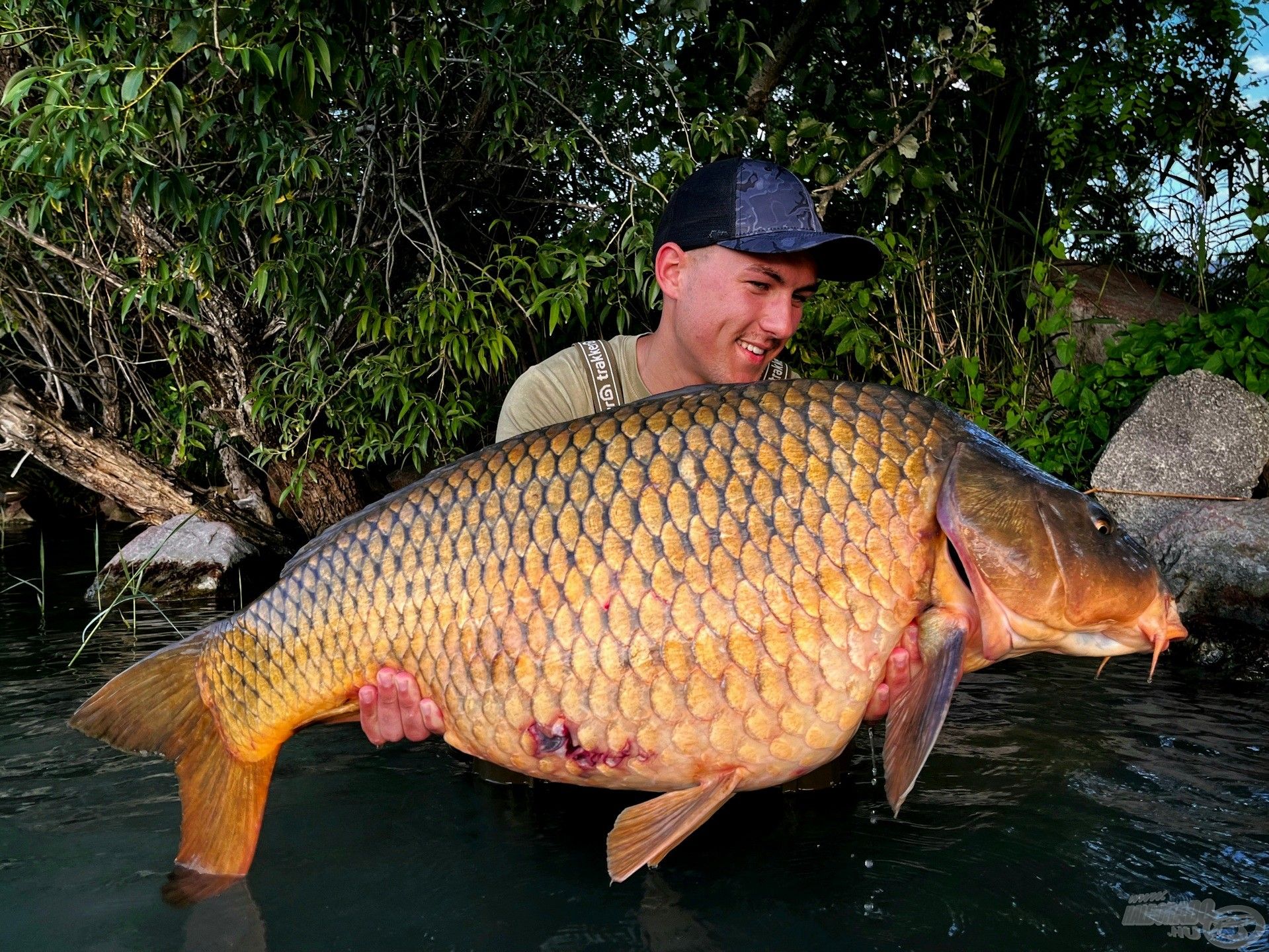 Az idei harmadik 20 kiló feletti balatoni pontyom