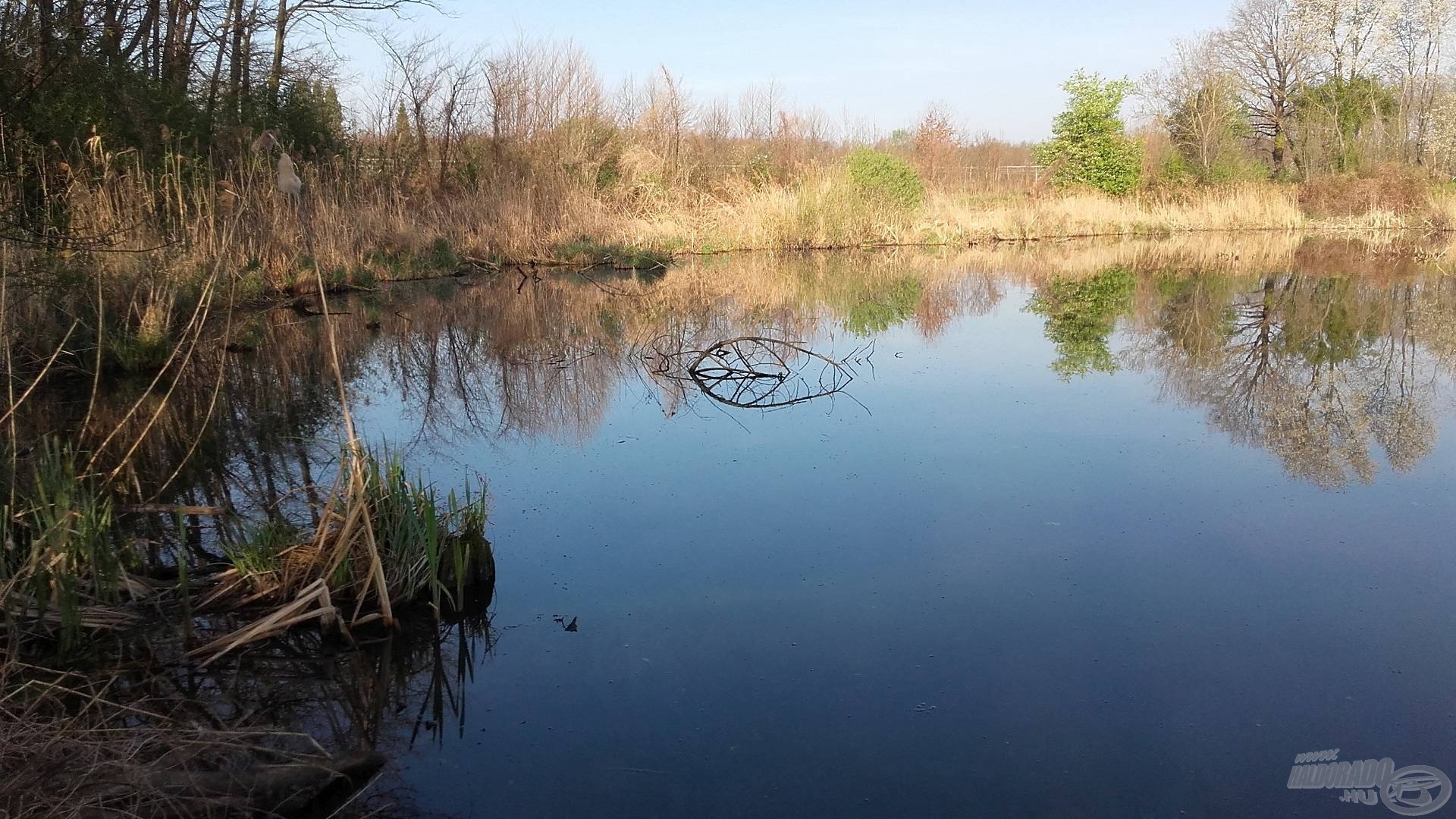 A sekély víz volt a titok nyitja