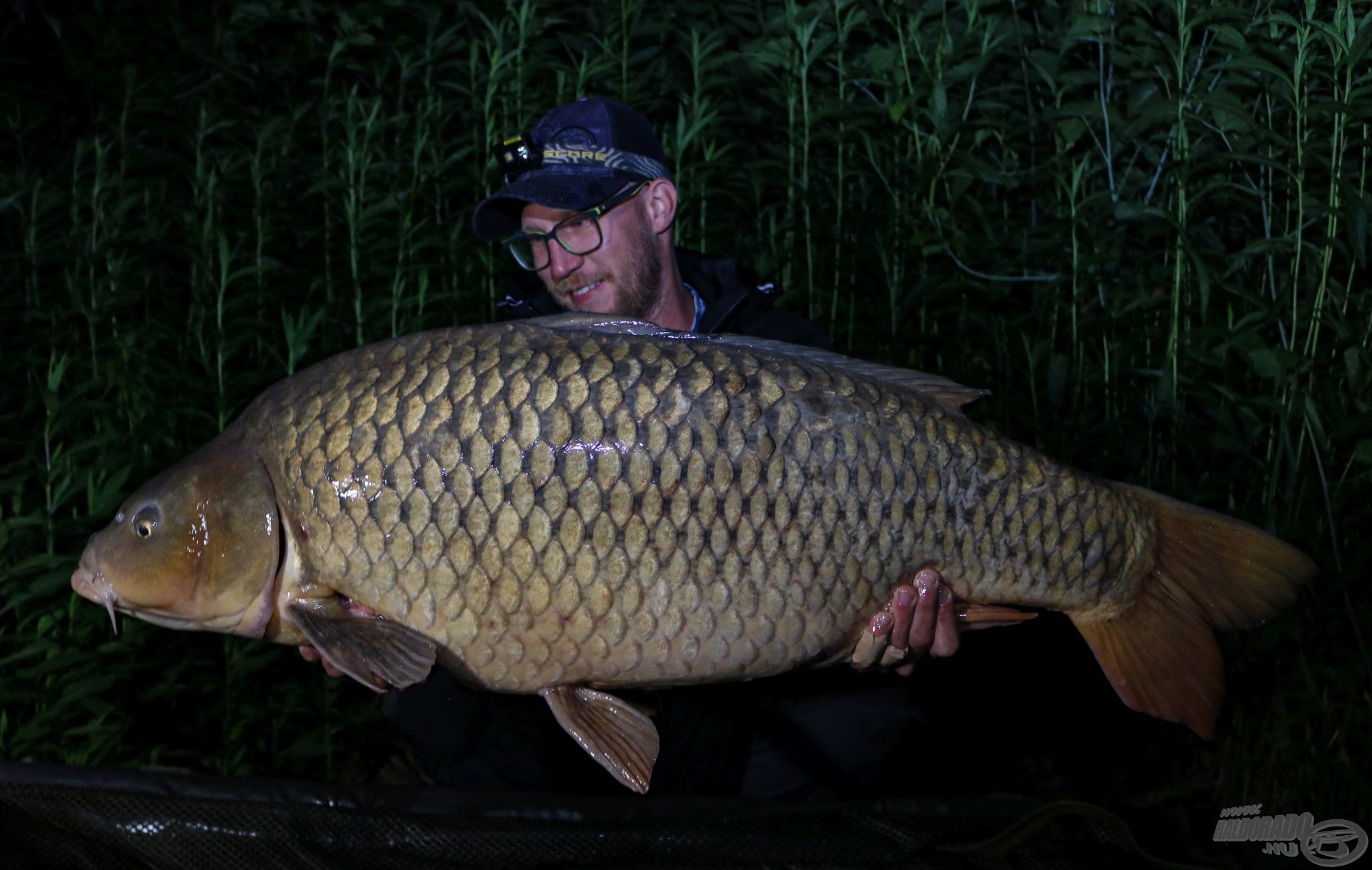 Norbi brutális, 20 kg fölötti pontya minden várakozást felülmúlt