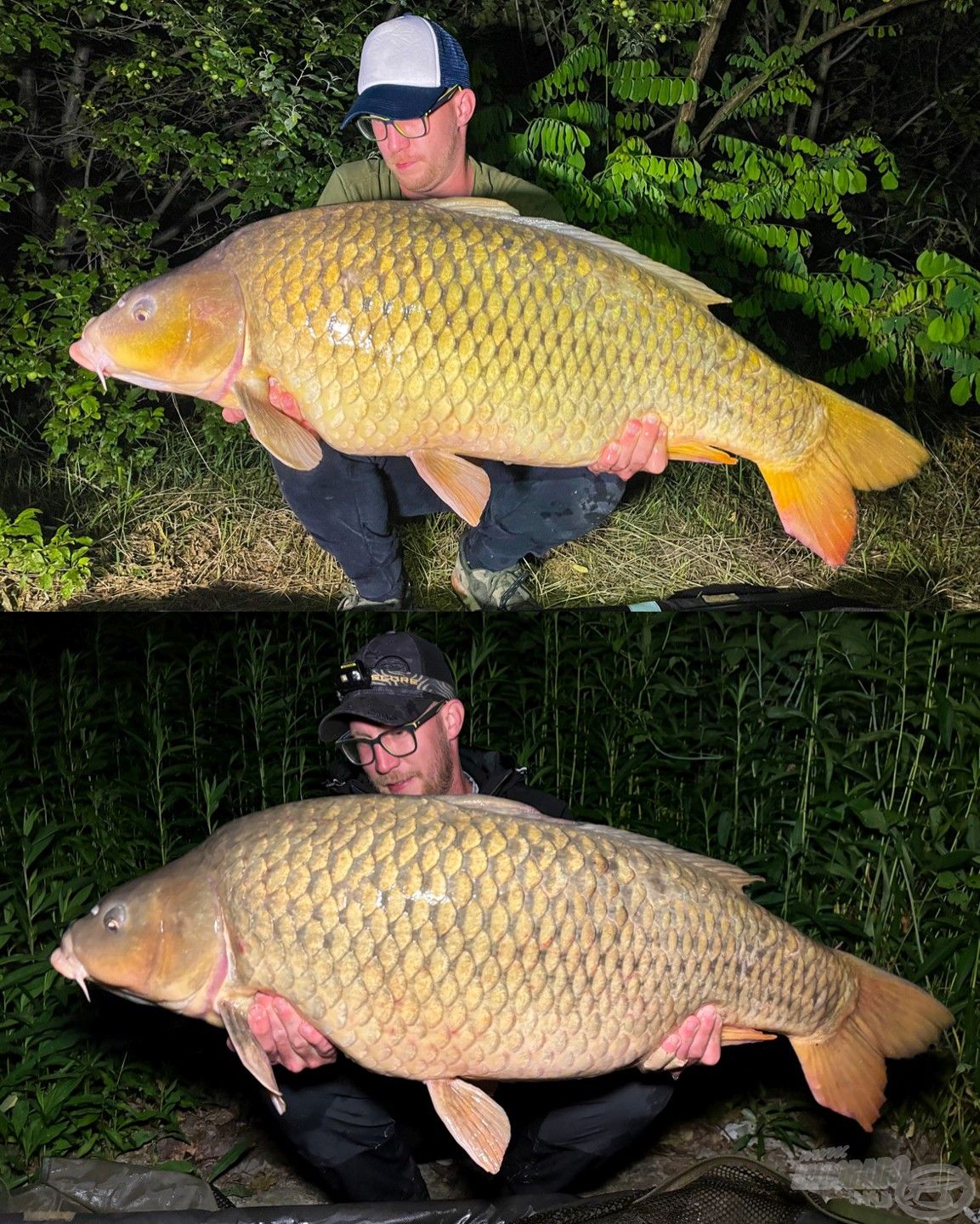  Apró érdekesség, Norbi a szép, 20 kg fölötti halát már 2 éve is megfogta, de akkor a nagy Dunán, 5 km-rel arrébb