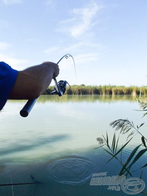 Késő délutánra ismét elemükben voltak a halak