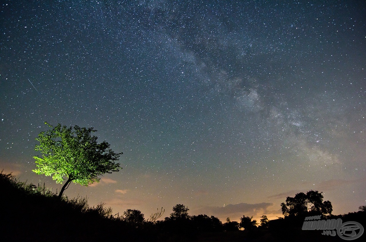 Perseidák éjszakája