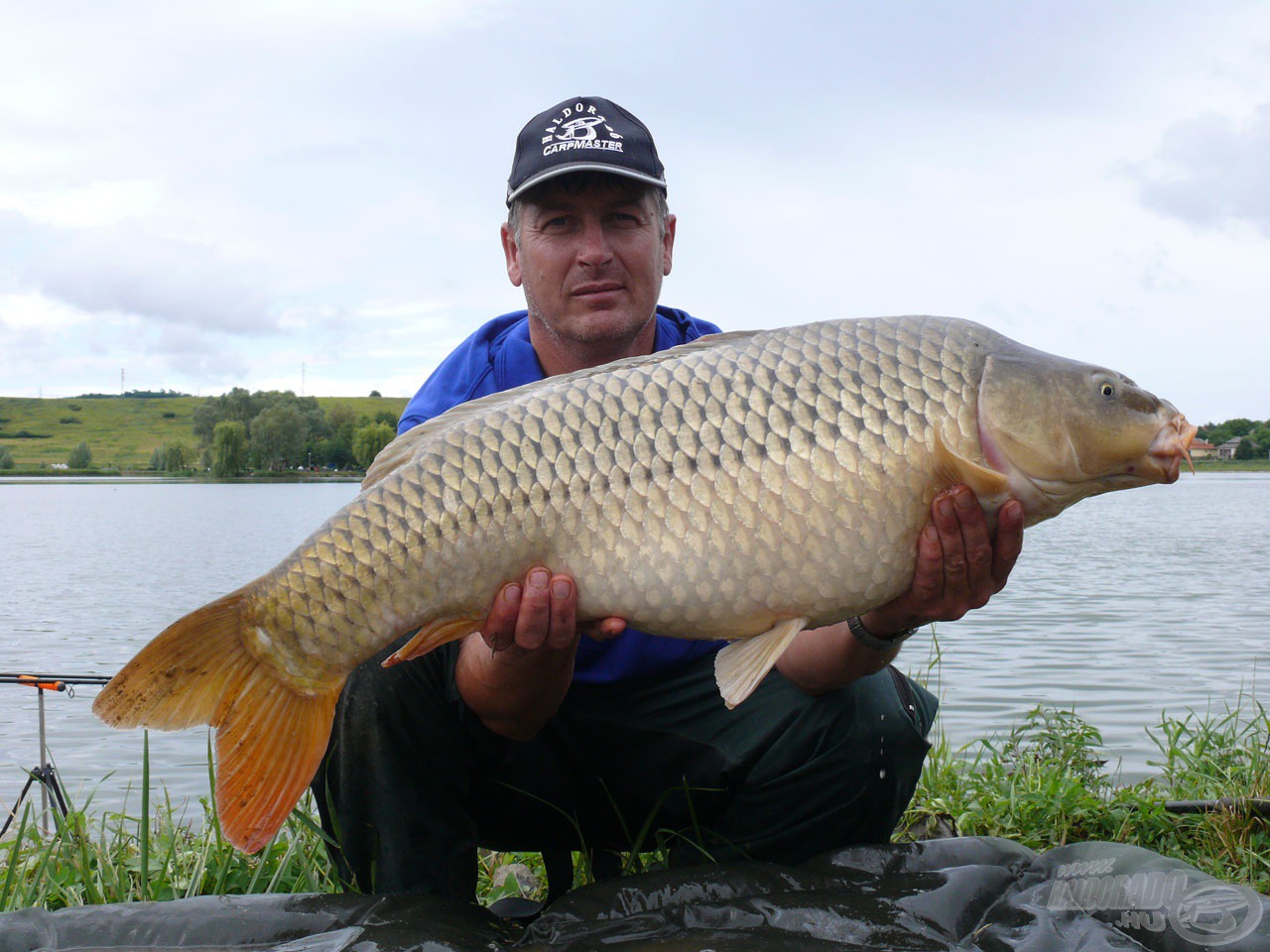 Nagyhalas versenyeken a Strong Carp már bizonyított!