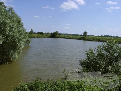 A nagyobbik hátsó medence, jól látszik a bal oldalon a szemközti partról felénk nyúló fűzfa