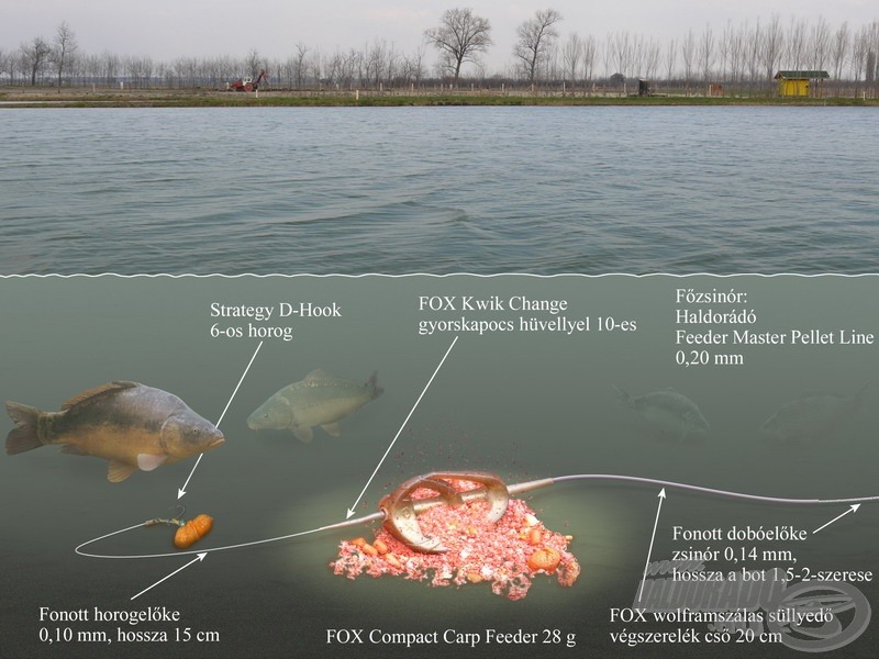  Így működik a nagyhalas feeder-végszerelék a víz alatt  