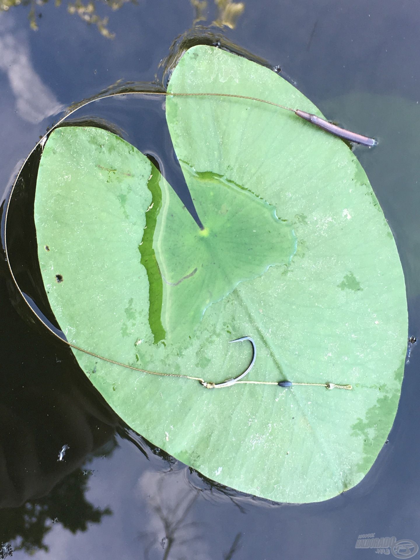 Volt, amikor még a gumi is kevésnek bizonyult…