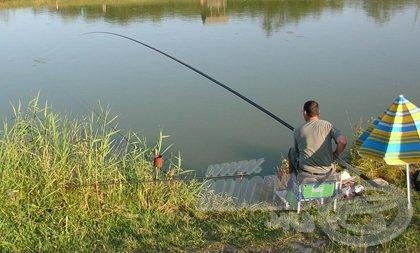 Egyszerű kivitelű alapláda, egy vagy két fiókkal, esetleg felnyitható rekesszel