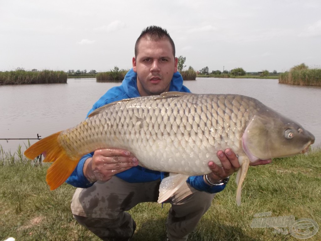 Ez a tőponty is ezen a napon akadt horogra, közel a 10 kg-hoz