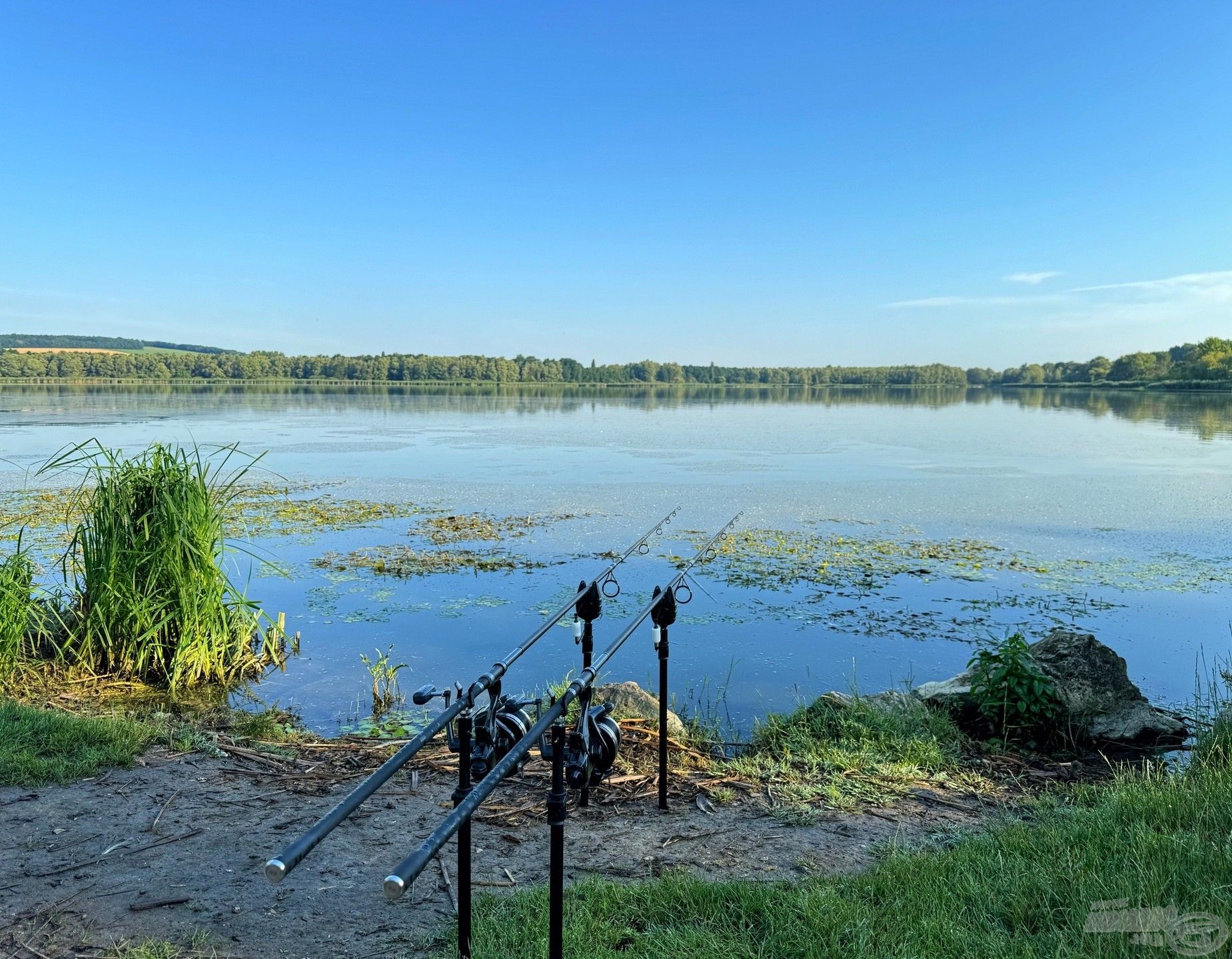 Az ország legvadabb vize, a Kis-Balaton