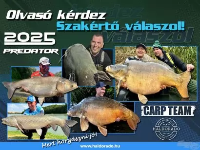 A szakértő válaszol! – 186. rész