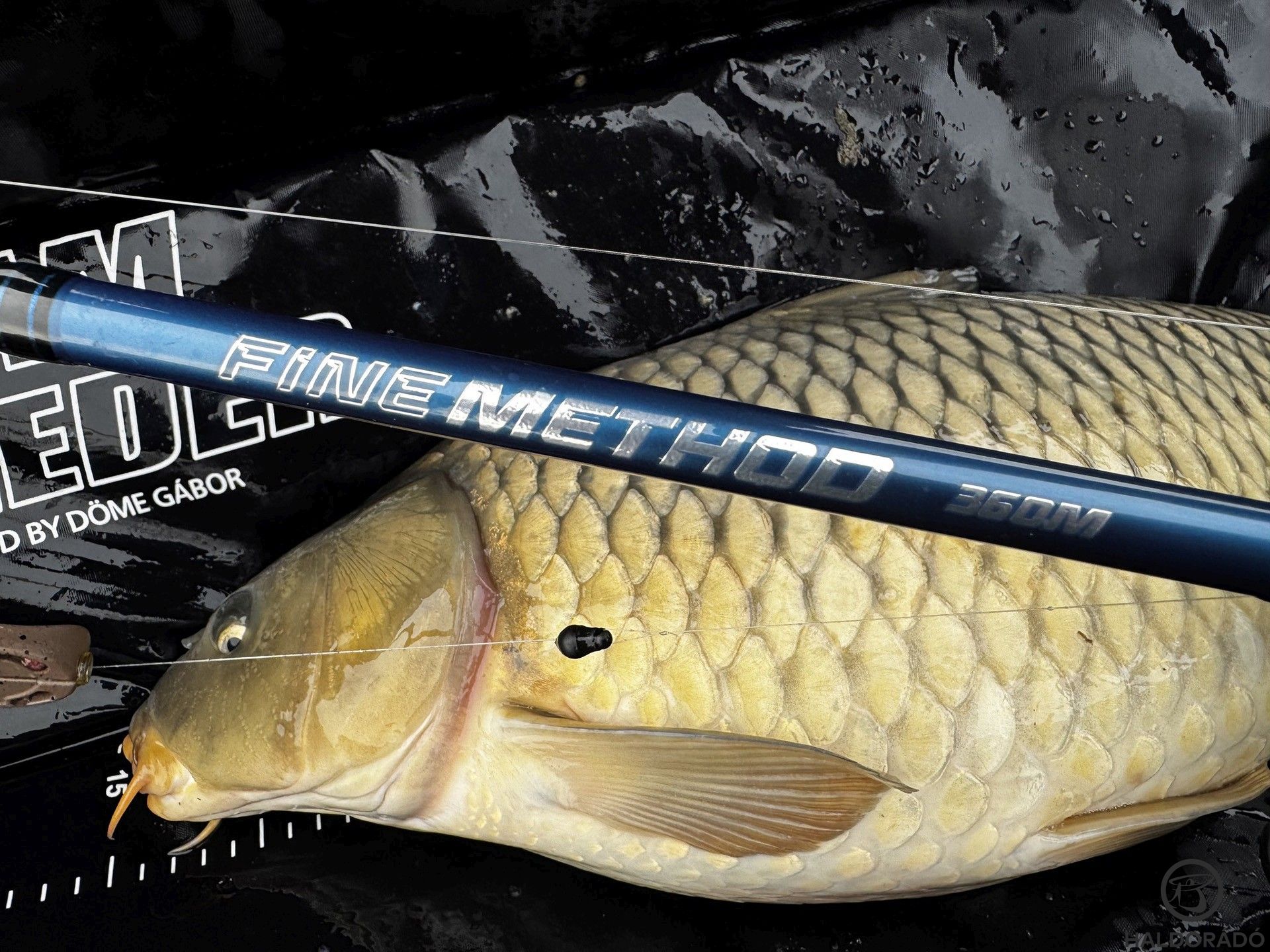 Tökéletes társ a közép-távoli finom pontyhorgászathoz