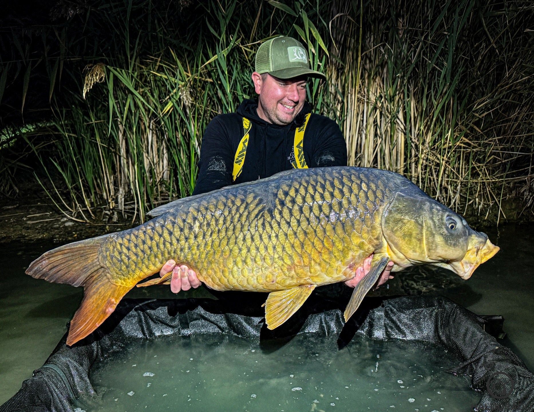 Nagy halairól is méltán híres