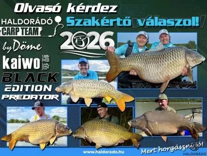 A szakértő válaszol! – 217. rész