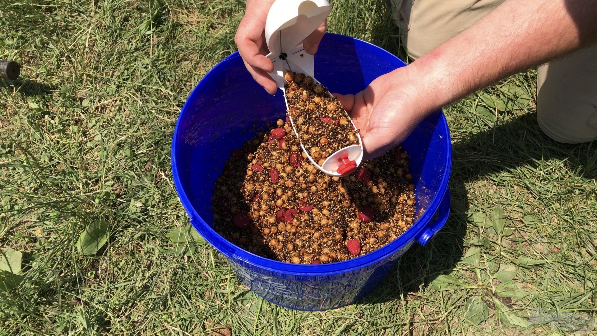 Aprómagokban gazdag, mely az amurok számára nagyon vonzó