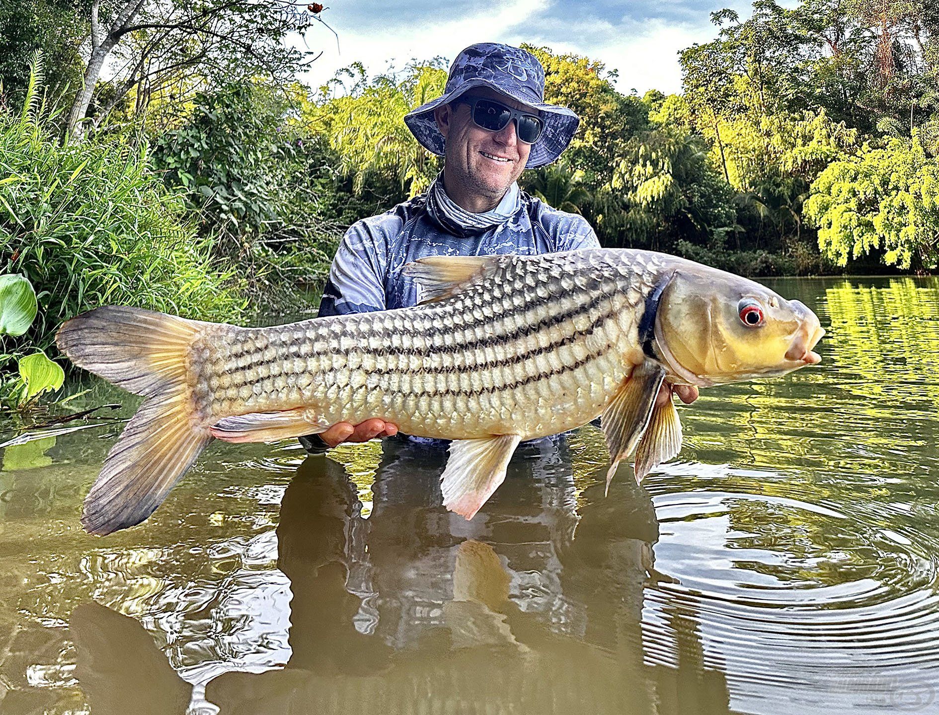 Volt szerencsém egy másik különleges pontyhoz is, ez a Julien’s Golden Carp