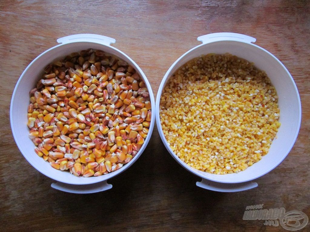 A száraz kukoricadarából is hatékony adalék készíthető