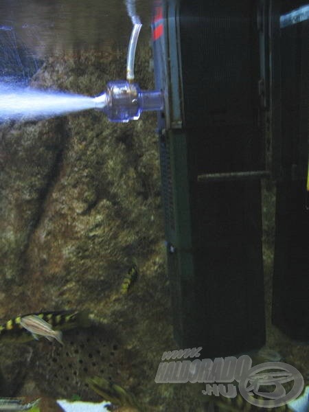Belső motoros szűrő, kivezető nyílásán egy speciális „diffúzor” alkatrész vezeti be, illetve porlasztja szét apró buborékokra a levegőt, a halak pedig örvendenek :)