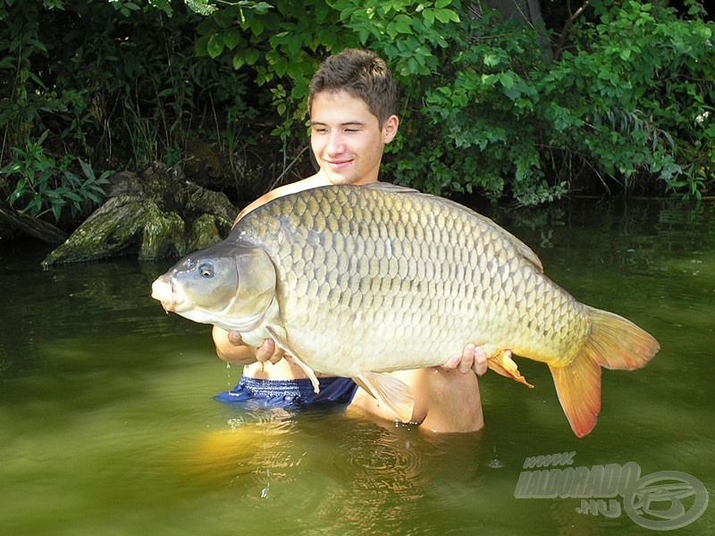 Kerek 16 kg-ot nyomott ez a gyönyörű töves…