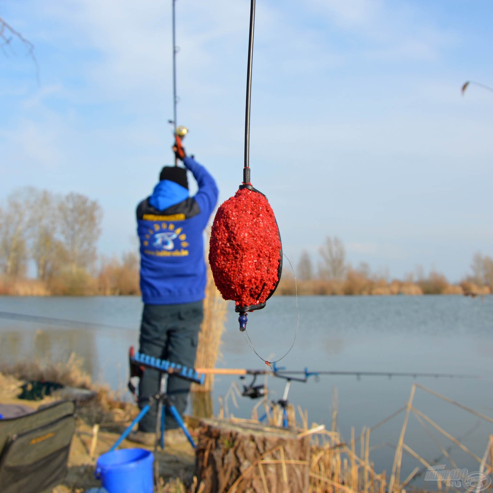 Feeder Akadémia