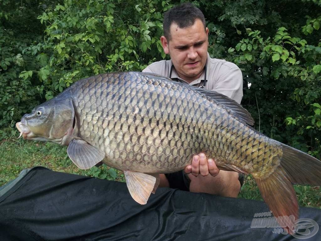 Gyönyörű tőponty az első zsákmány