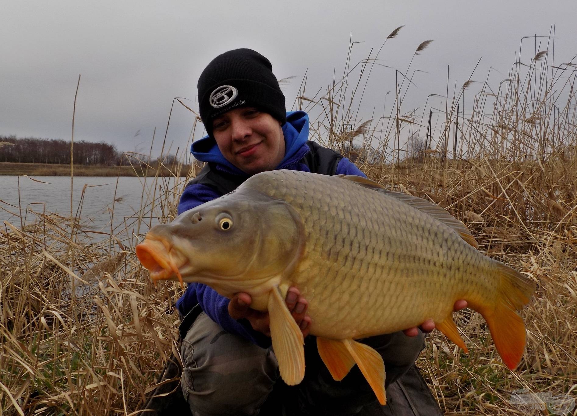 Szerencsére nem volt pihenő, a délutáni órák most sem okoztak csalódást! A halak súlya ezen a horgászaton jellemzően 5 és 8 kg között alakult