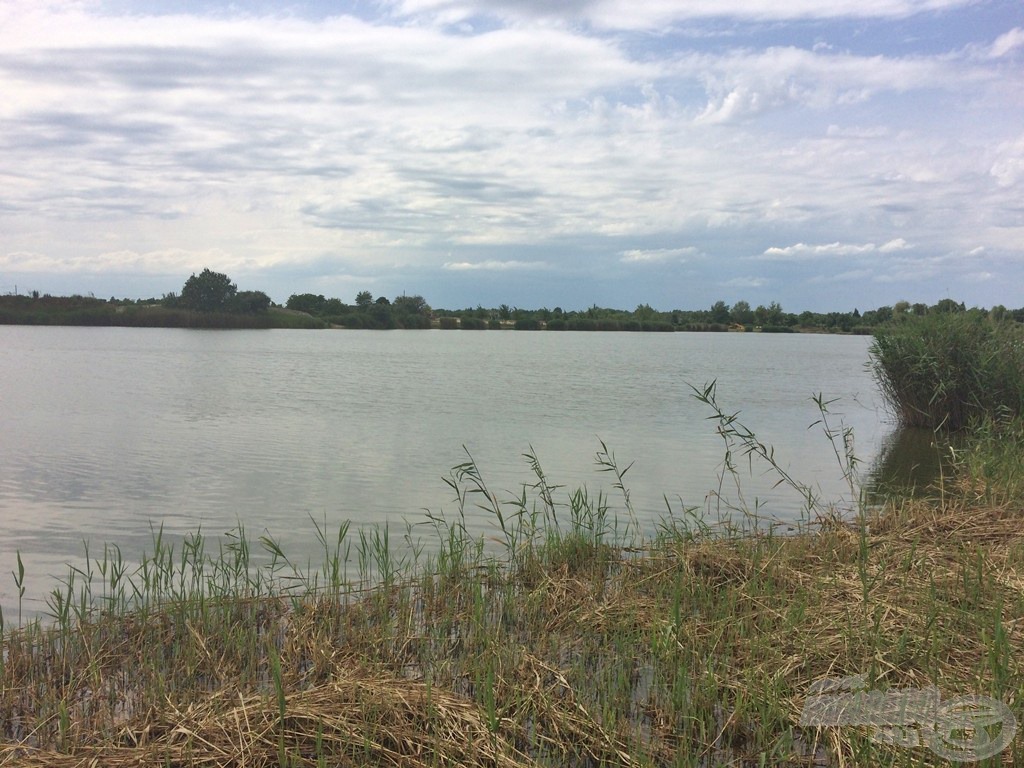 Akár életünk halát is megfoghatjuk itt, ráadásul egy nem is igazán horgászott vízterületről van szó, ami azt gondolom, egy plusz jó pont nekünk, horgászoknak