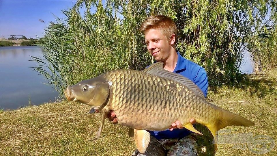 Erőtől duzzadó, egészséges tőponty tett próbára rögtön az elején. A súlya pontosan 7 kg volt. Hibátlan kezdés!