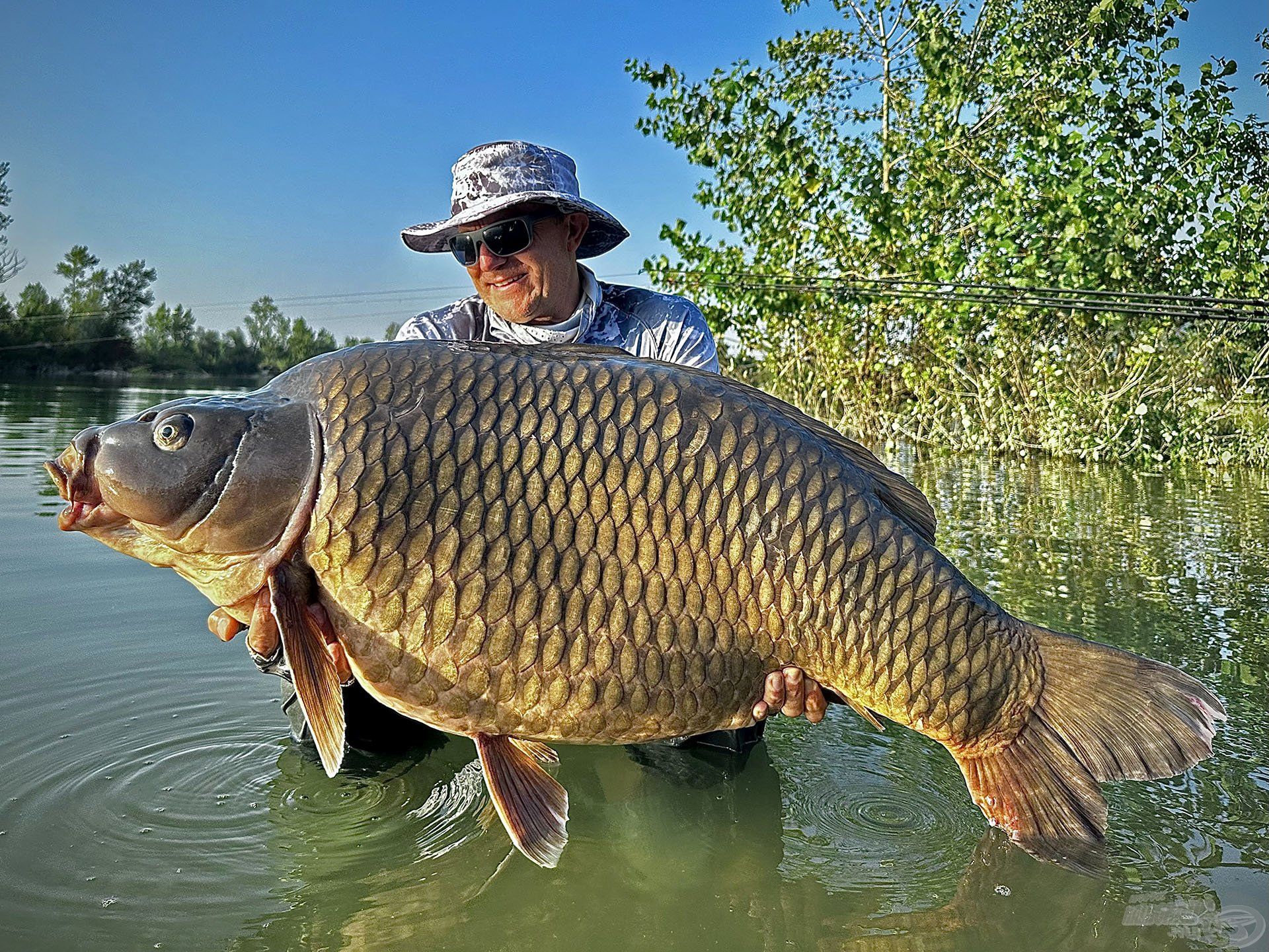 BUMM!!! A legnagyobb tőpontyom, amely 33,22 kg!!!