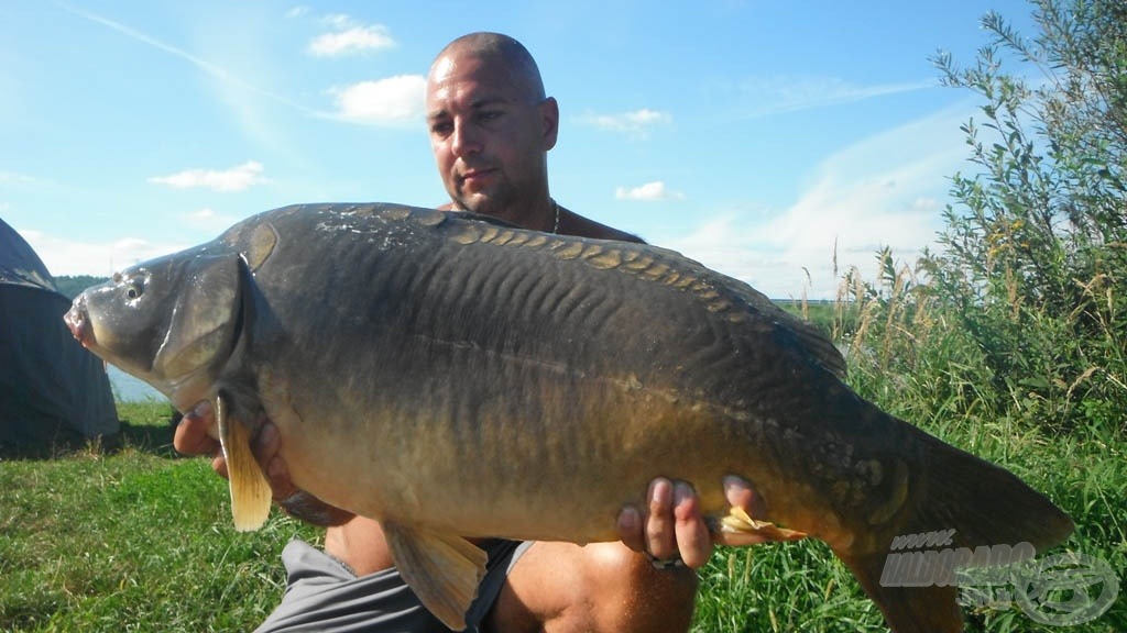 13,50 kg-os bányatavi tükrös