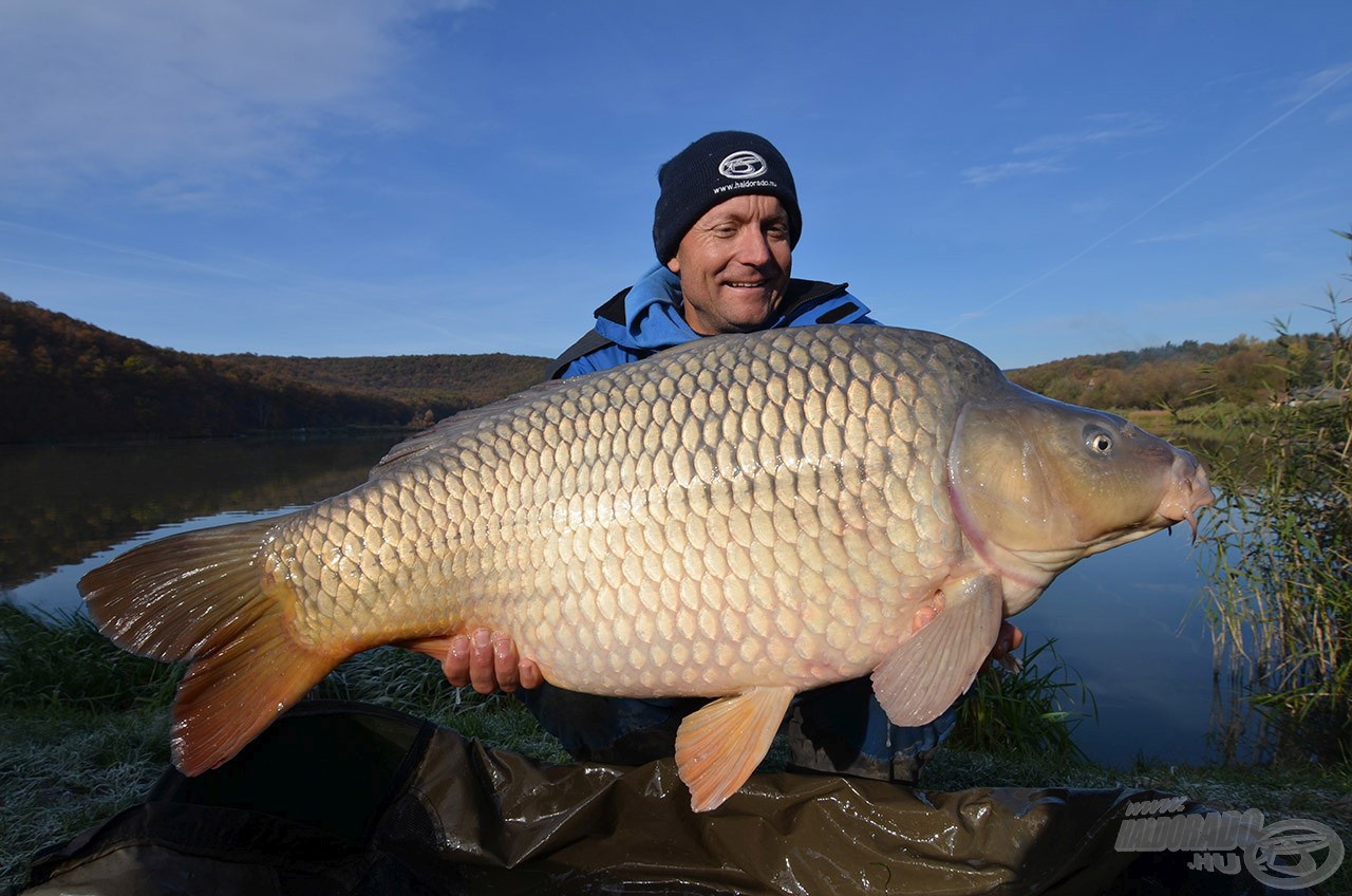 A legnagyobb halak is biztonsággal, határozottan fáraszthatók a 420LC típussal, miközben szó sincs merev, durung botról