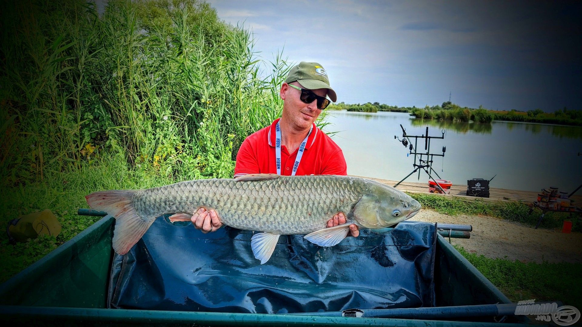 12 kg-os húsevő nádrágó. Halas bojlira csábult el