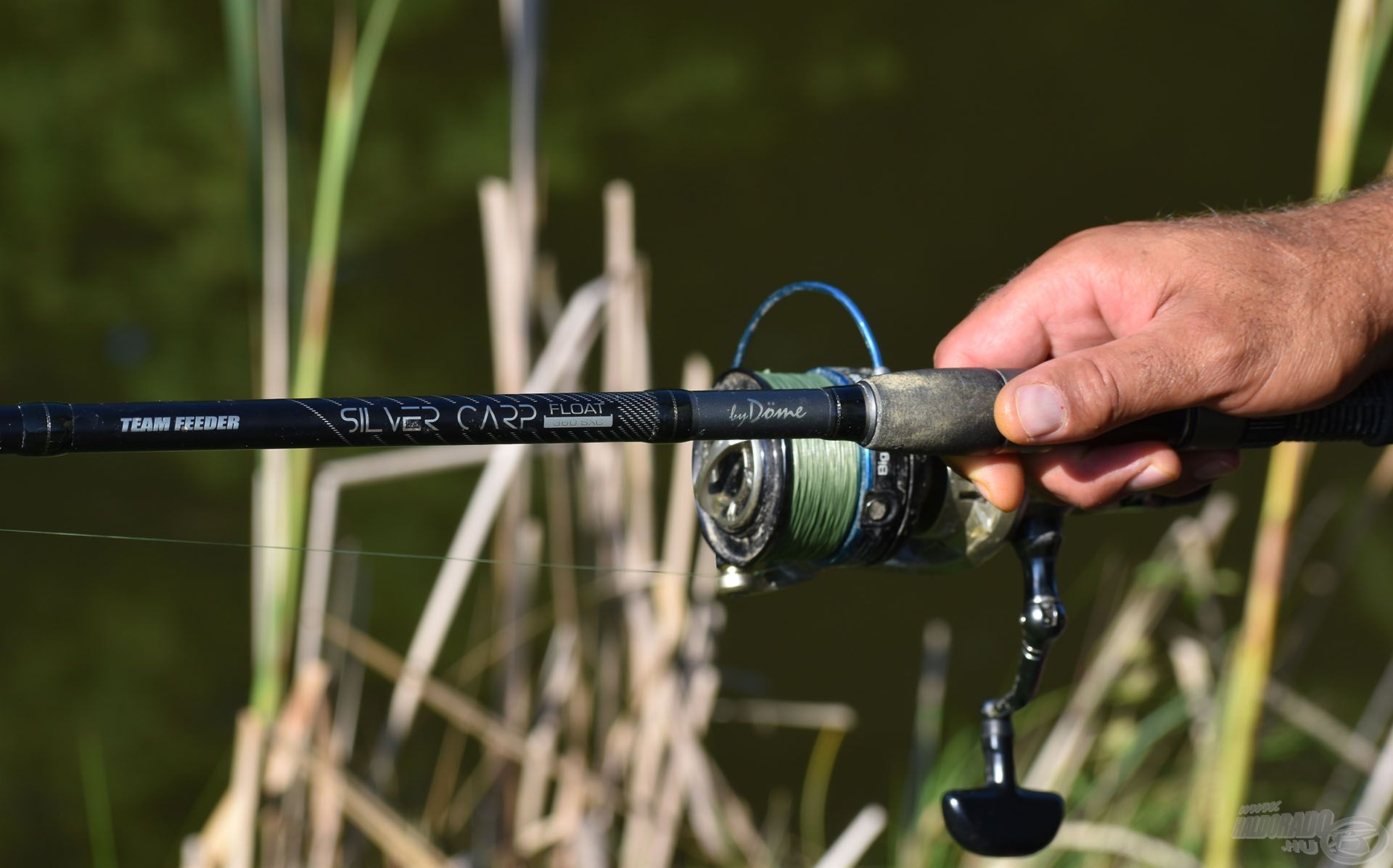 Egy idő után már két Silver Carp bottal horgásztam, mert a spiccbotot vissza kellett tennem a tokjába