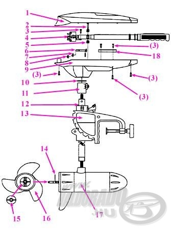 A T45 és a T55 motor felépítése