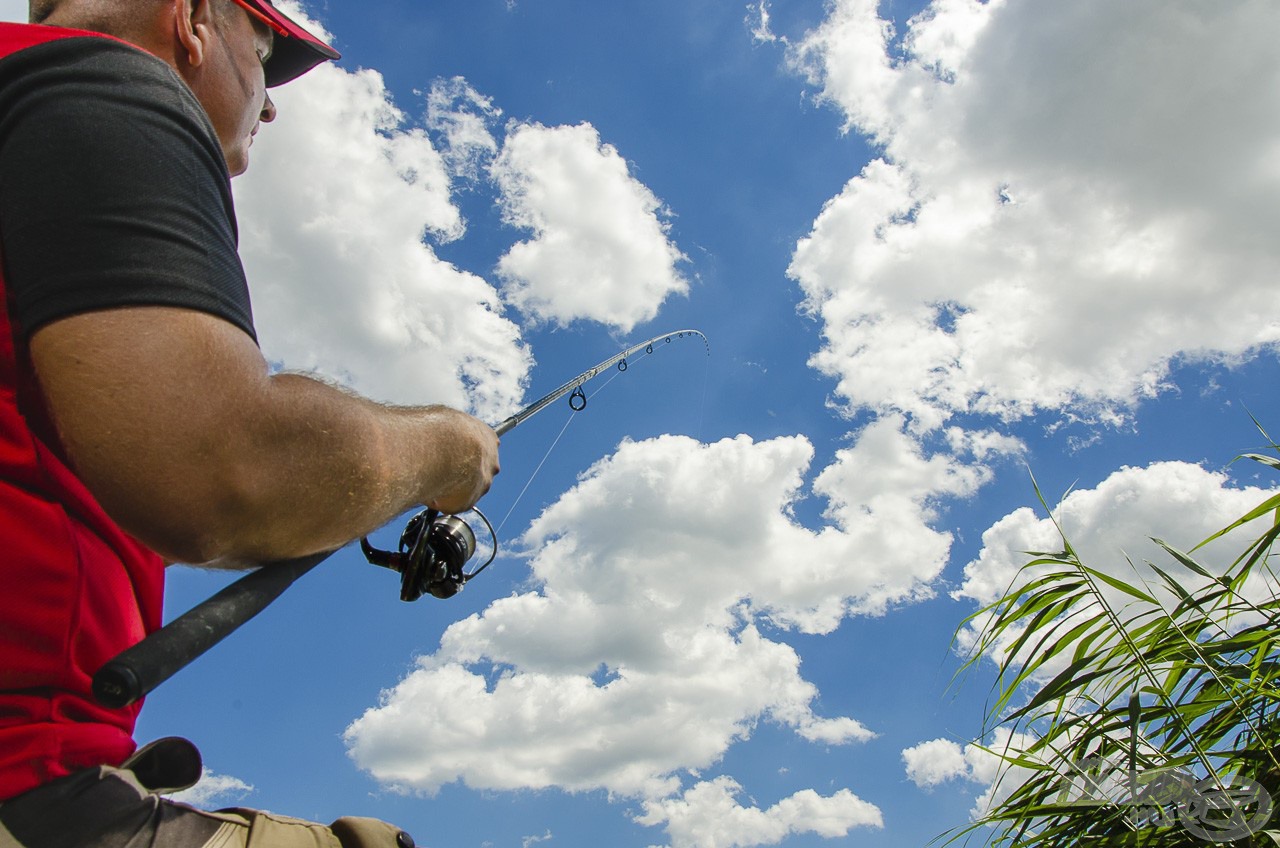 Daiwa termékek a feederbotos horgászatban 5. rész - Daiwa Powermesh Feeder 3,30