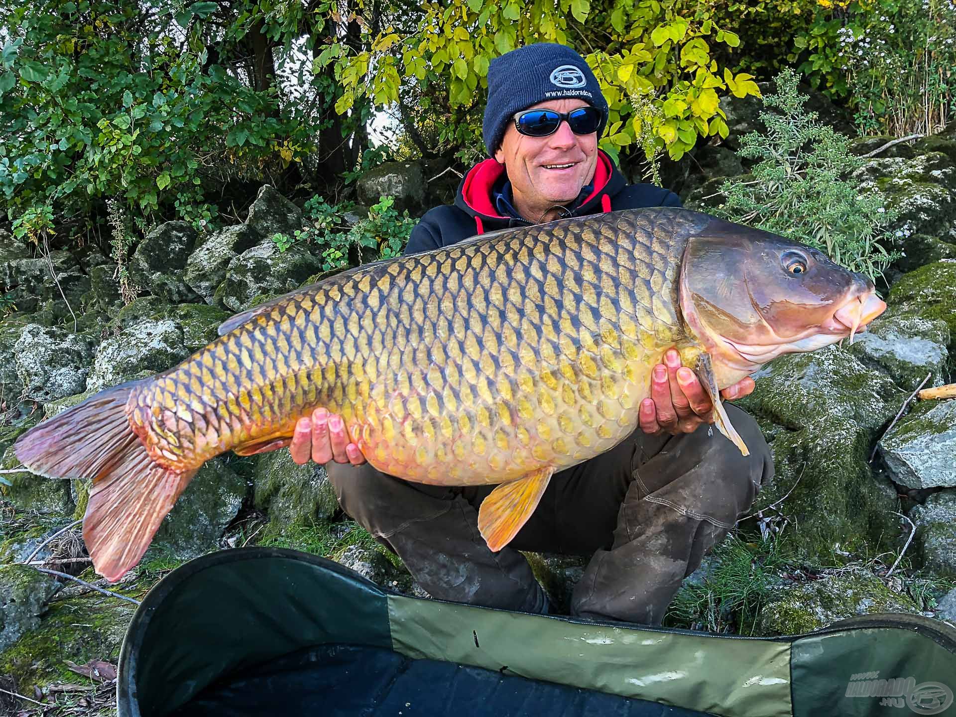 Íme, teljes terjedelmében az új dunai pontyrekordom, amely 17,44 kg!!!