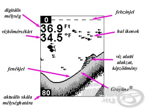 A nyitókép