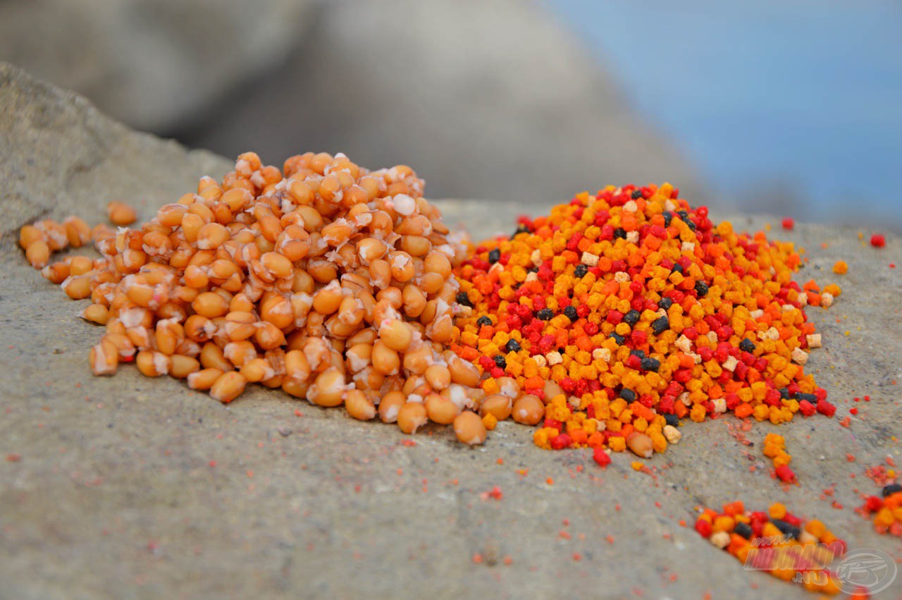 A micro pellet és a főtt búza helyben tartja a halakat