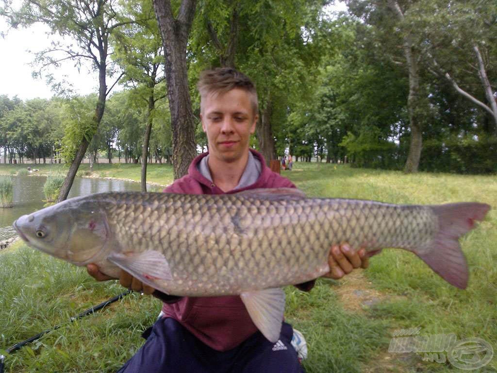 Megérkezett az év első testesebb hala e szép, 6,8 kg-os amur személyében