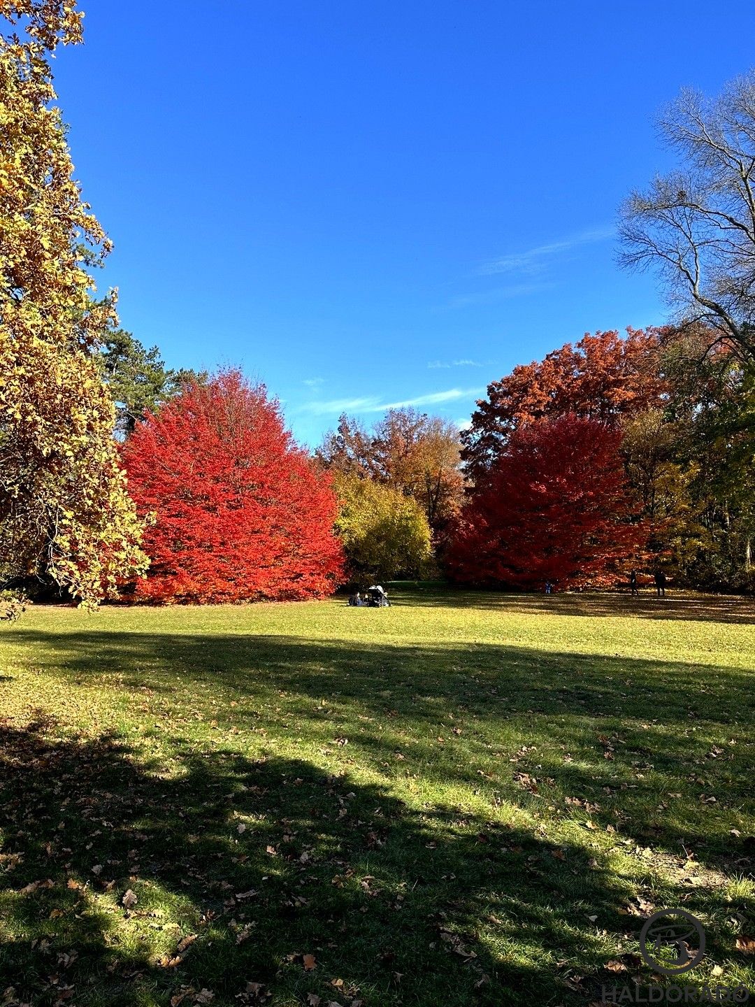 Nehéz velük betelni